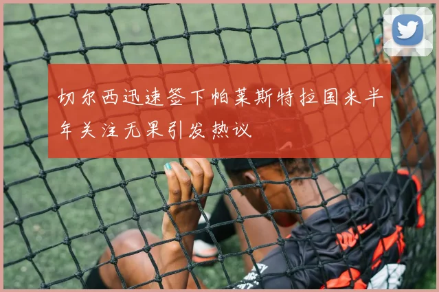 切尔西迅速签下帕莱斯特拉国米半年关注无果引发热议